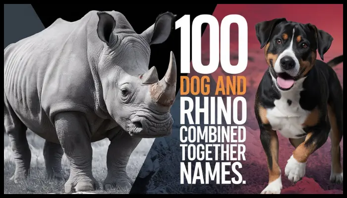 dog and rhino combined together name